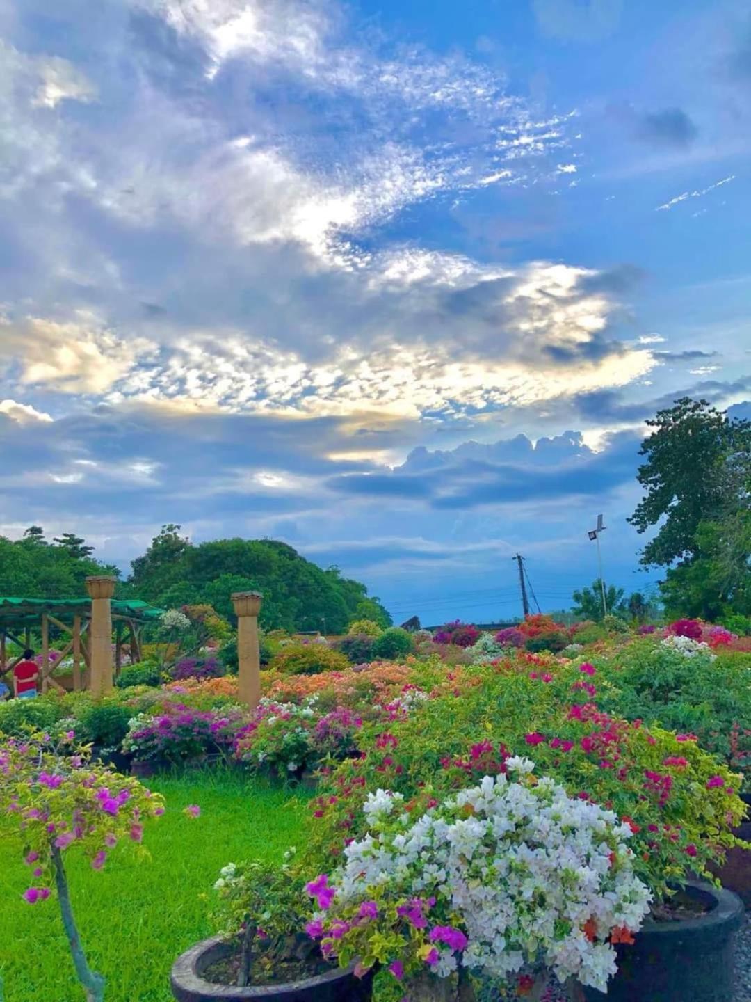 Beach Resorts Walking Distance To The Town House Davao City Kültér fotó
